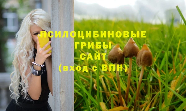 дурь Волосово