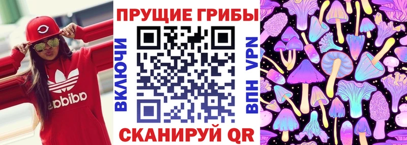 Псилоцибиновые грибы прущие грибы  купить наркоту  Кизел 